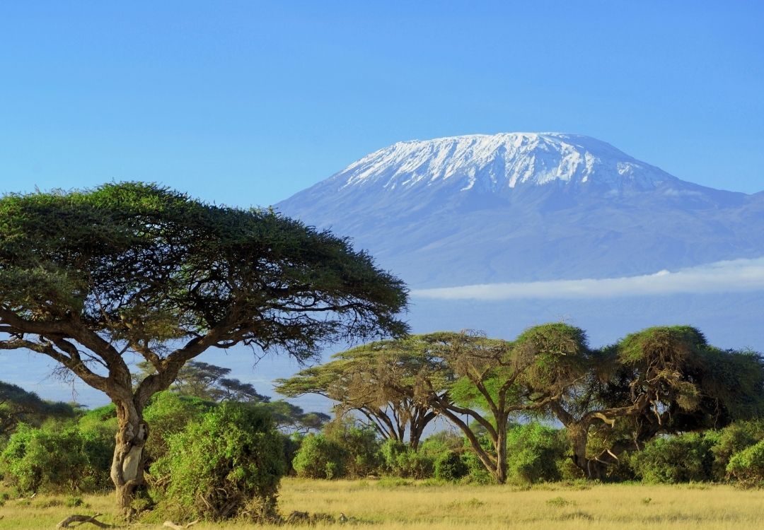 Mount Kilimanjaro — Lemosho Route Traverse