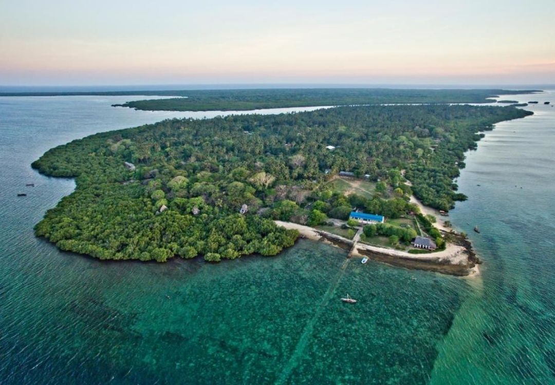 Mafia Island coastline and marine park scenery