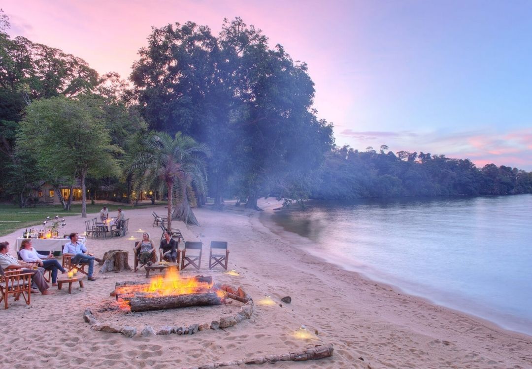 Rubondo Island rainforest and lakeshore scenery