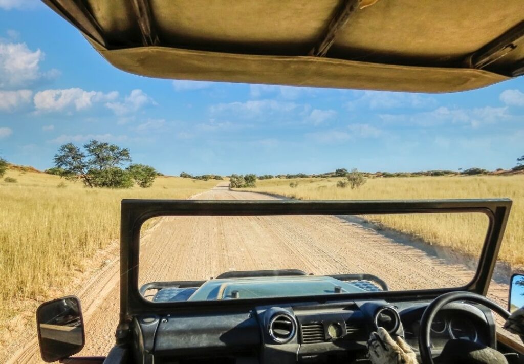 serengeti safari co(133)