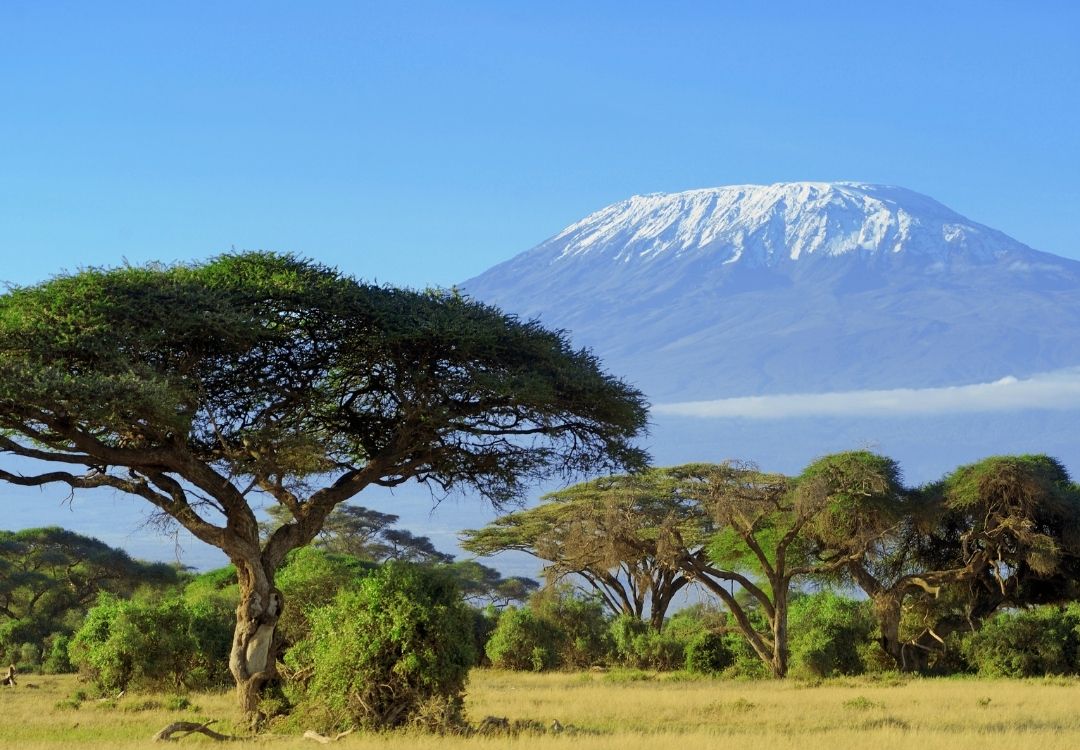 Tanzania Safaris serengeti safari co(15)