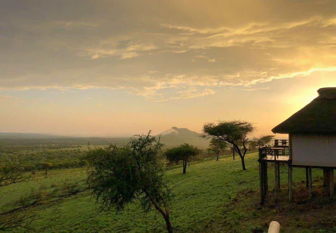 Tanzania Safaris serengeti safari co(17)