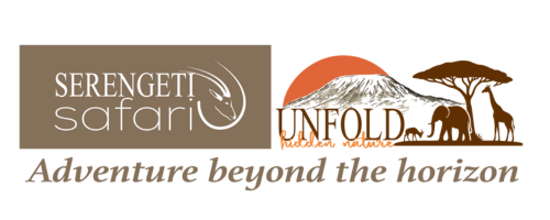 Unfold Hidden Nature