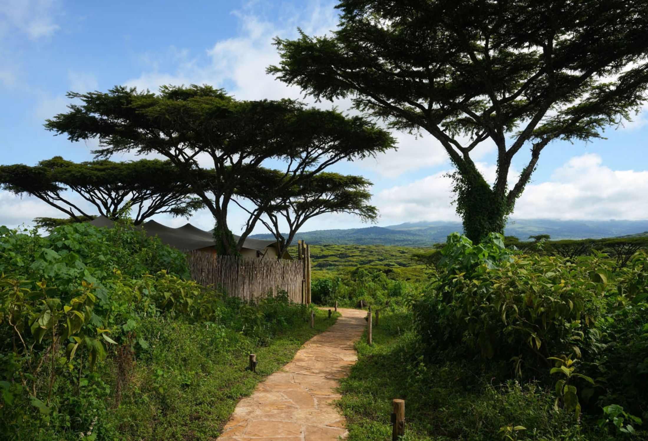 Home Accommodation image 2