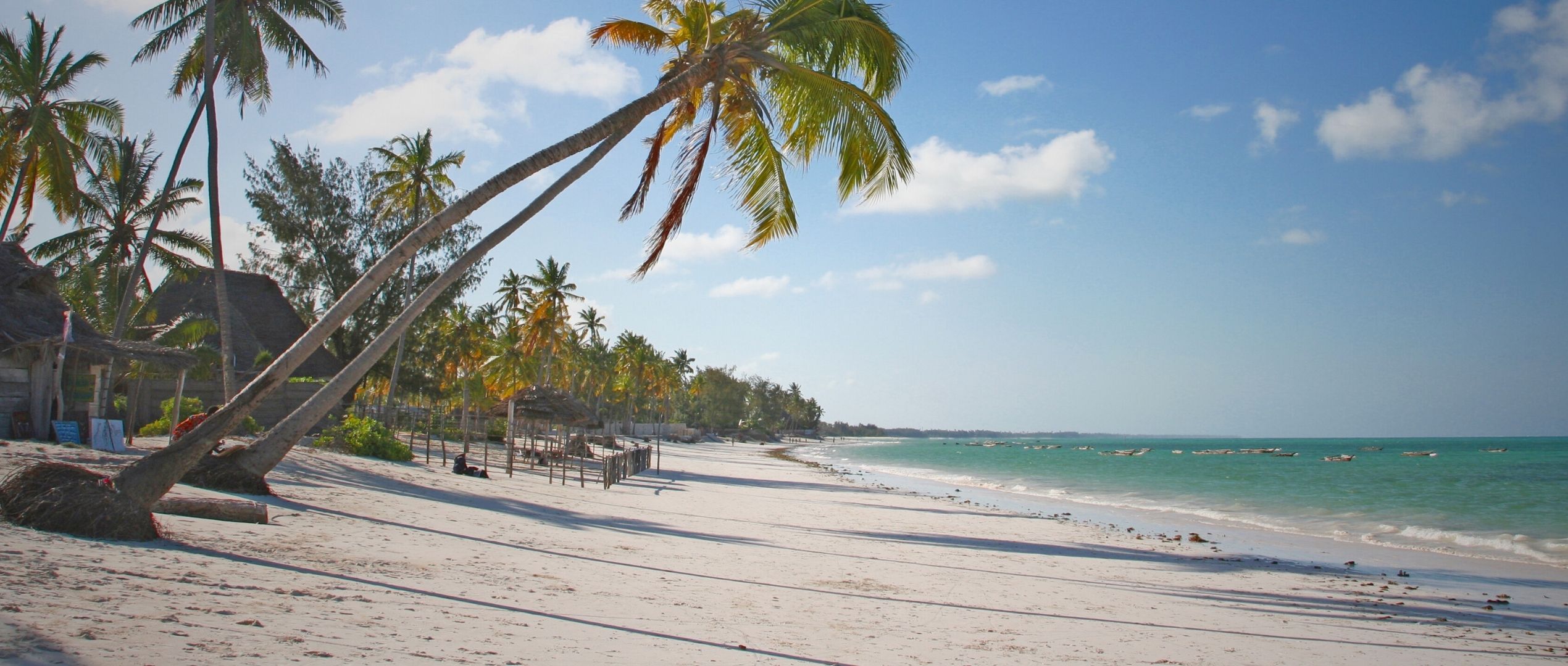 Serengeti Safaris Zanzibar1