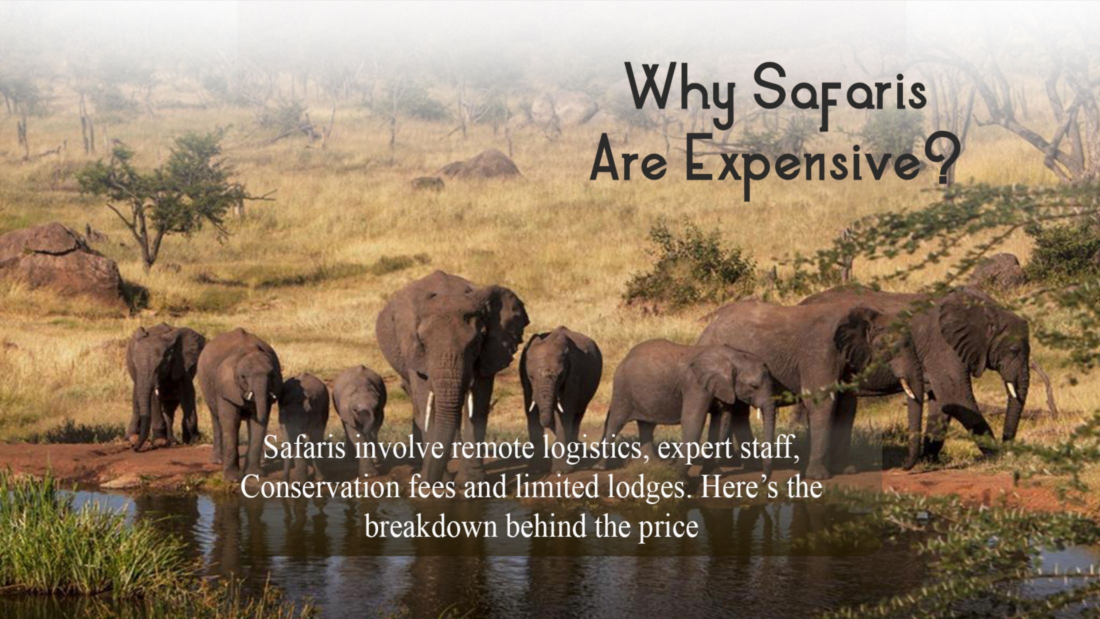 Slider Serengeti Safari5