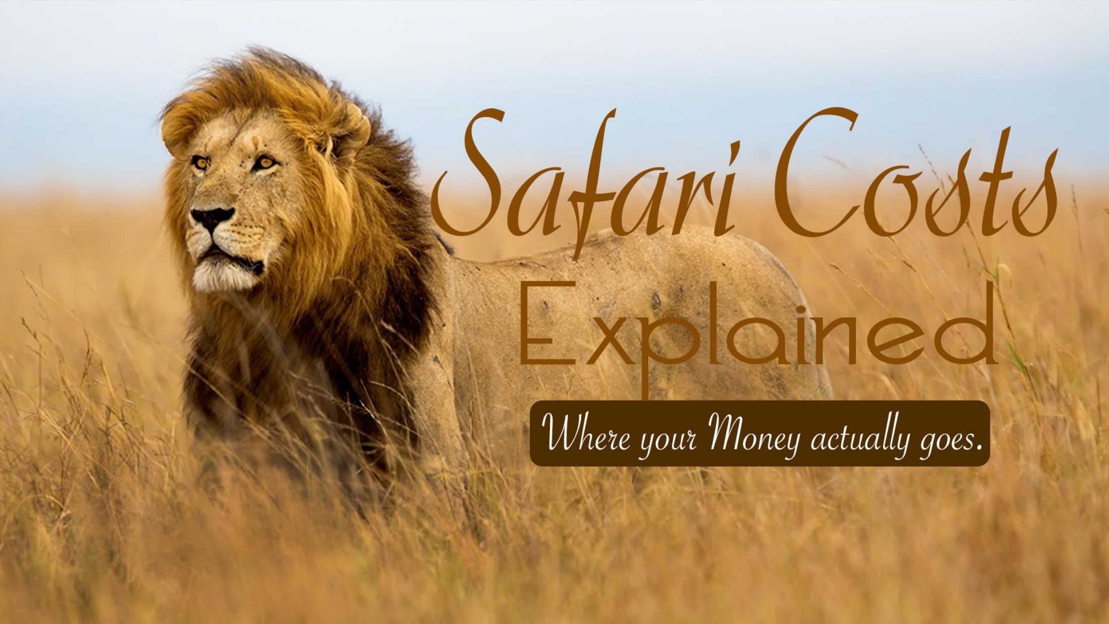 Slider Serengeti Safari6