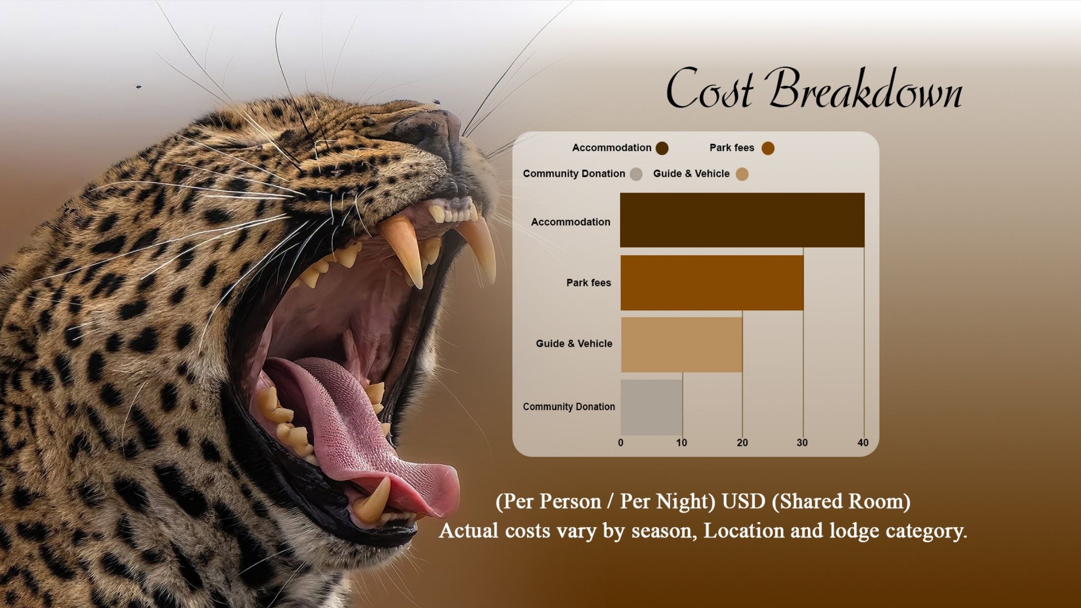 Slider Serengeti Safari7