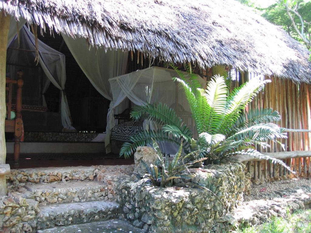 Mafia Island 163362550.jpg