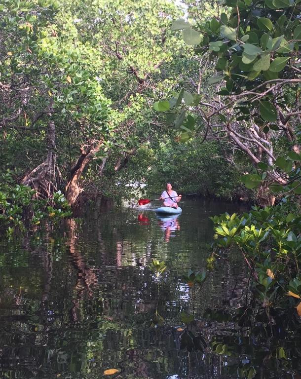 Mafia Island 406091066.jpg