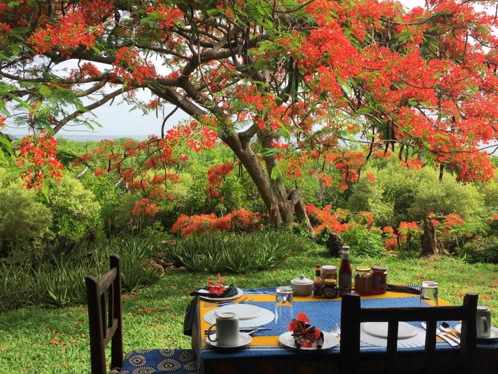 Mafia Island 406091522.jpg