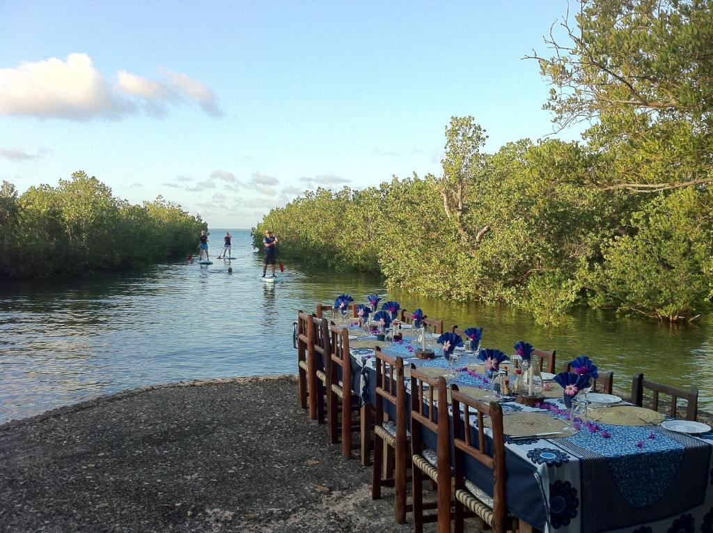 Mafia Island 53954990.jpg