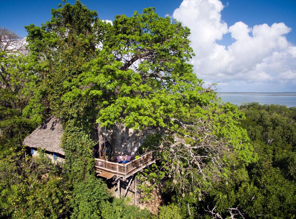 Mafia Island 585946103.jpg