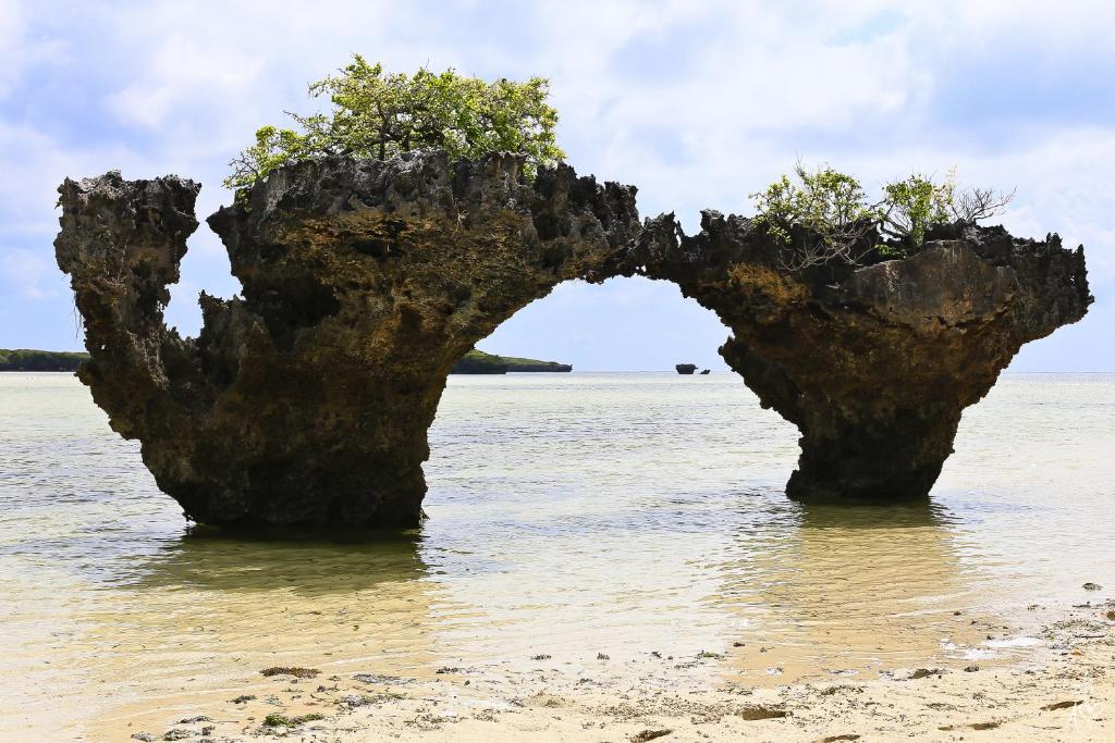 Mafia Island 70930871.jpg